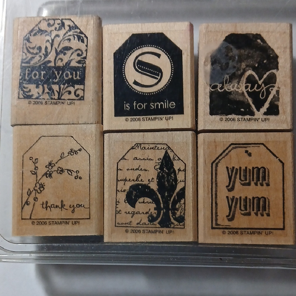 Stampin' Up! Too Terrific Tags Craft Set